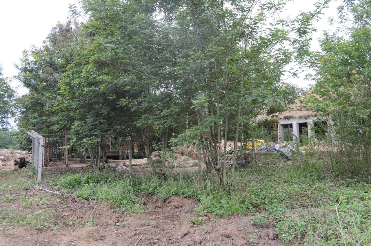 Irungu Forest Safari Lodge Katunguru エクステリア 写真