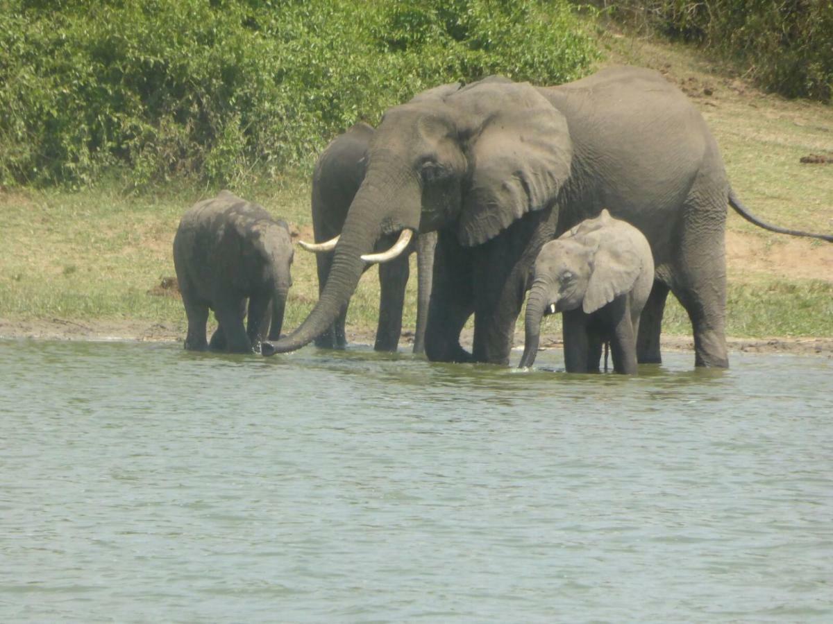 Irungu Forest Safari Lodge Katunguru エクステリア 写真