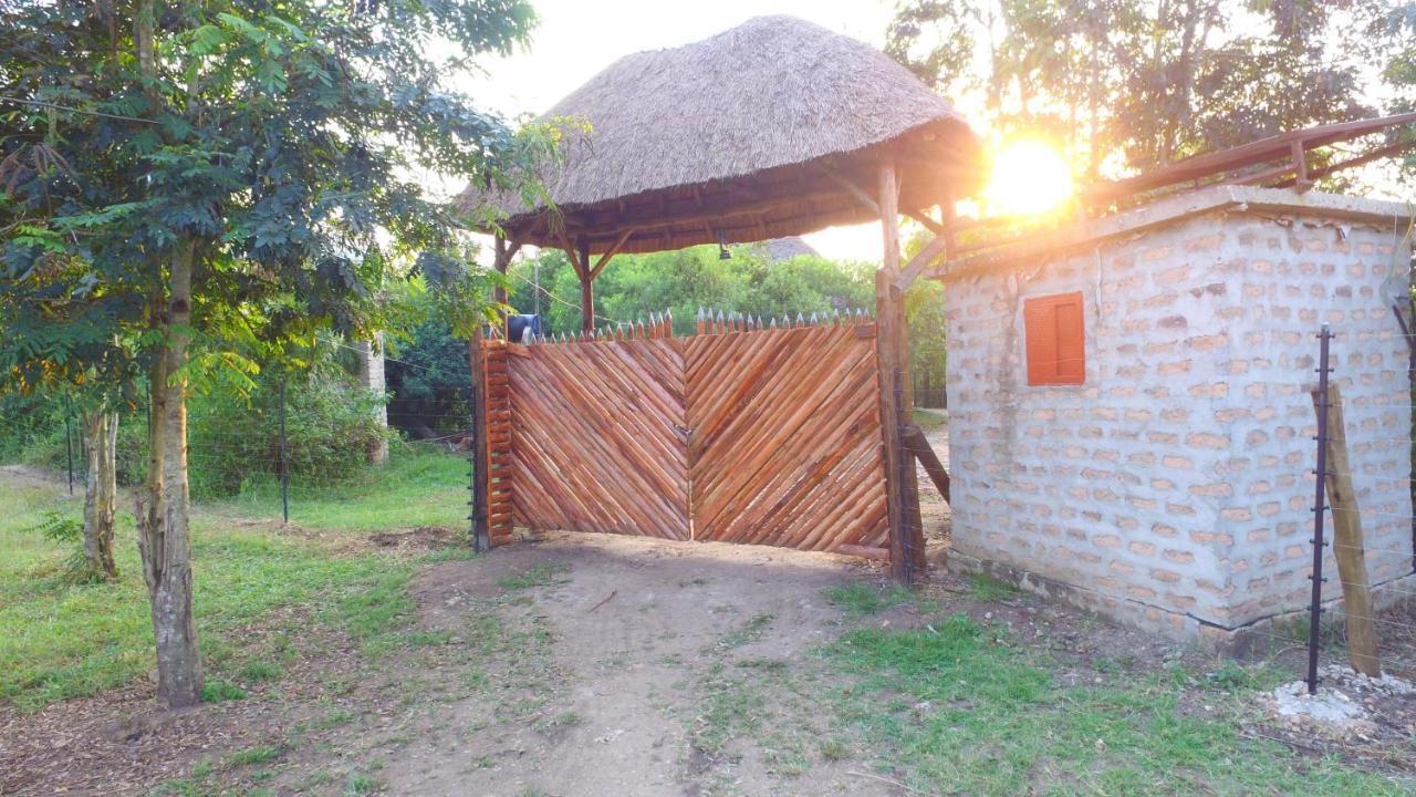 Irungu Forest Safari Lodge Katunguru エクステリア 写真