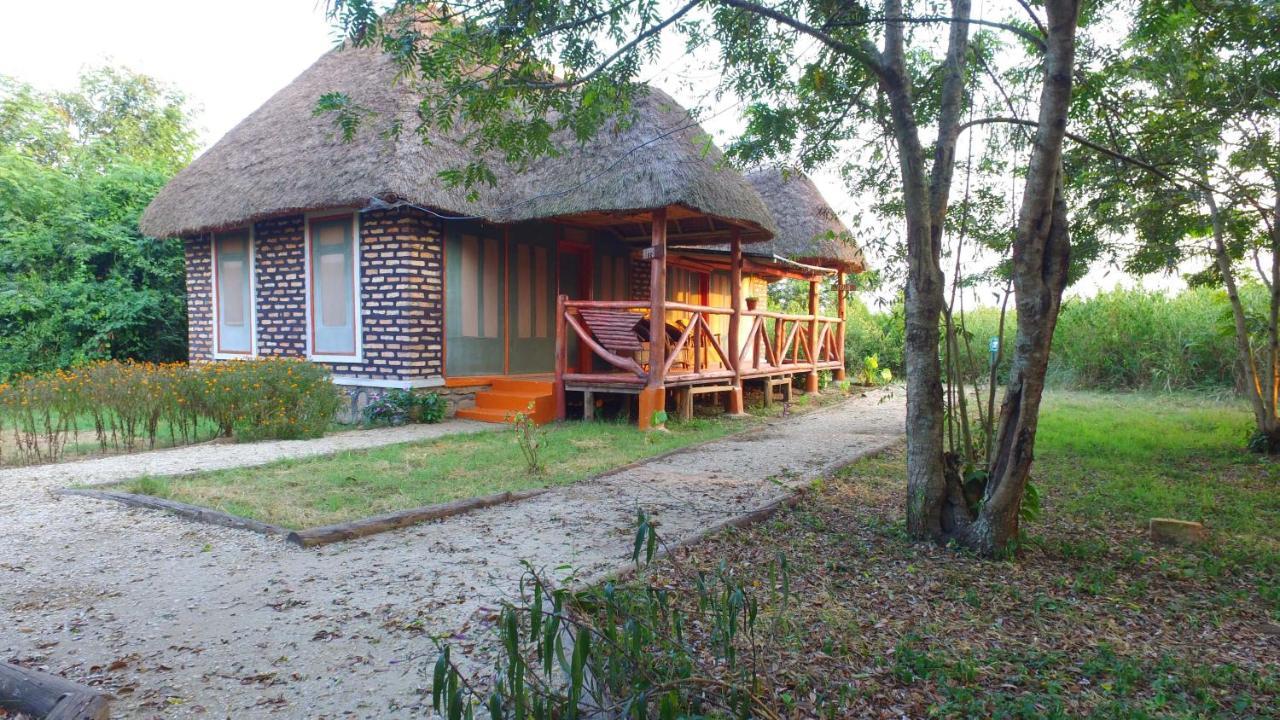 Irungu Forest Safari Lodge Katunguru エクステリア 写真